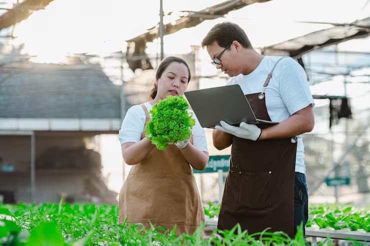 Precision planting and farming